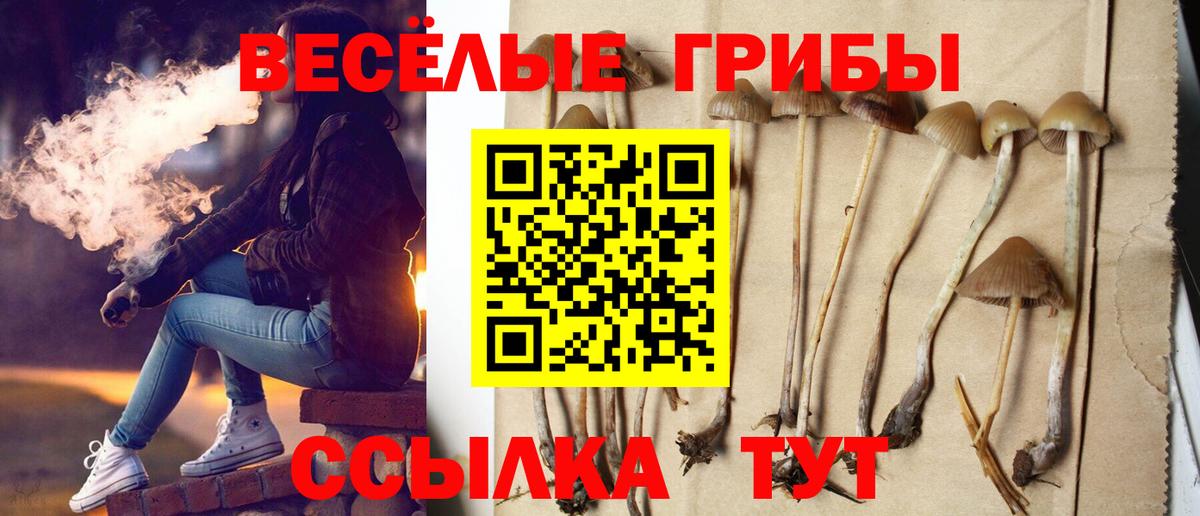 Псилоцибиновые грибы мицелий Канаш