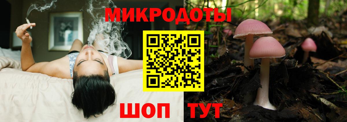 Канаш  Галлюциногенные грибы Cubensis  Вход с VPN 